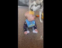 Mom throws cheese at baby boy prank 
