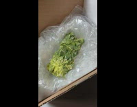 Radioactive detector placed on a radioactive rock