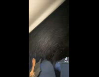 Guy slides down icy driveway after girl walks it 