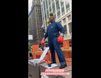 Collab WINY - Man with parrot watermelon on head boxing gloves