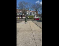 Guy uses skateboard to transport christmas tree 
