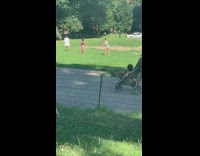 Pink dress girl white car park grass