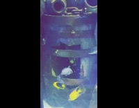 Guys wait for weird fish inside barrel