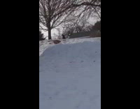 Green Pants Sleds Down Snow Hill Off Ramp and into Camera