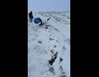 Woman rides sled down hill rolls over