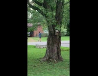 Guy blue sweater walk talk selfie video part 2