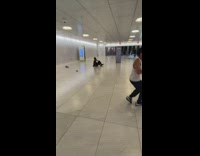Guy rides quickly down side of escalator on skateboard 
