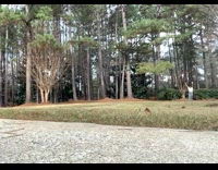 Woman walks across lawn doing handstand