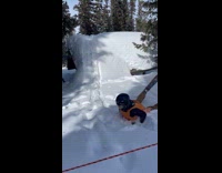 Skier wearing mr potato costume faceplants into snow