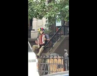 Man sitting on steps with jester hat plays accordion 