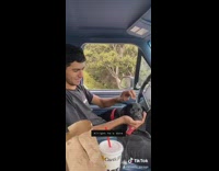 Black dog car red collar sleep hand 