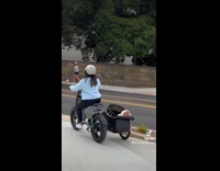 Woman drive tricycle with dog hits curb