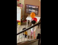 Little girl hits baby brother with balloons
