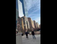 Pigeon on ground near large pigeon statue