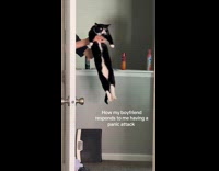 Guy holding cat at door