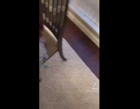 Guy walks by girl and slaps back of head 