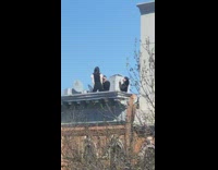 Black shirt white sleeves girl rooftop photoshoot 