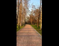 Collab PubityPets - Man Takes Walk Exercise in Rural Park 