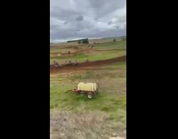 Group of motorbikes set off for race and crash