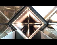 Collab DailyDoseOfInternet - Glass elevator goes up and down day 