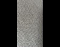 Woman plays hide and seek with cat 