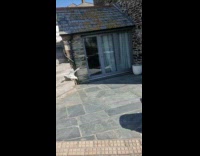 Seagull steals dropped  ice cream of woman