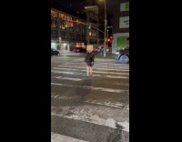 Woman dressed as lamp cross the road