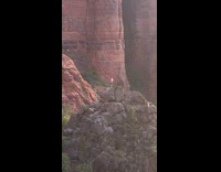 Man hikes on the canyon with his pet dog