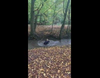 Boy runs falls into river fail