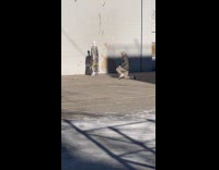 Man taking pictures of mannequin wearing dress