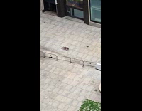 Red shirt guy push ups empty courtyard 