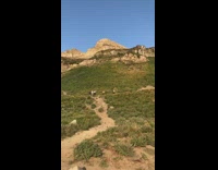 White shirt black leggings girl rock grass