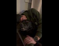 Black dog growling stops after hearing treats
