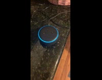 Girl plays song grandma is horrified alexa