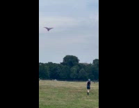 Collab WINY - Woman pull eagle kite down the park