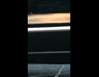 Raccoon in storm drain peeks out ears 