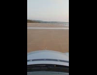 Large flock of birds flies over beach