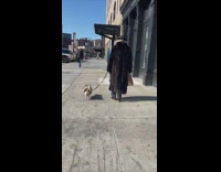 Pet Owner and Dog Walk Wearing Matching Fur 