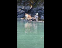 Collab BitchIG2 - Guy and husky dog ride kayak together