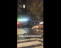 Trash bag tumbleweed blows across street and hits taxi 