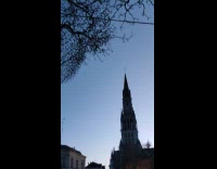 Collab PubityPets - Flock of Birds Fly and Circle Around Neighborhood