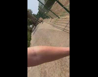 Goat sneeze on guy arm at fence
