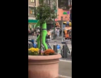 Woman in bodysuit humps tree on sidewalk
