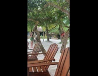 Woman bikini lay on tree wooden chair