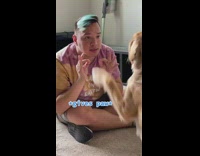 Guy tells dog it needs to relax 