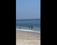 Four people formal black suit dance beach