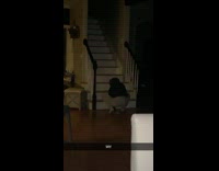 Collab BitchMP - Guy slides across floor on fours and climbs stairs 