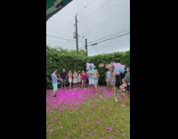 Woman open confetti tube girl baby gender