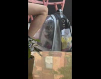 Girl brings cat in backpack to cafe 