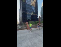 Tyrannosaurus rex jogs 